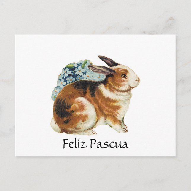 Cartes Pour Fêtes Annuelles Feliz Pascua, Joyeuses Pâques dans l'Espagnol (Devant)