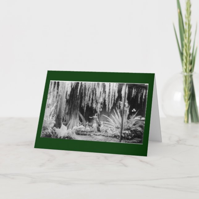 Cartes Pour Fêtes Annuelles Fenêtre de Noël de Frederick et du Nelson - (Devant)