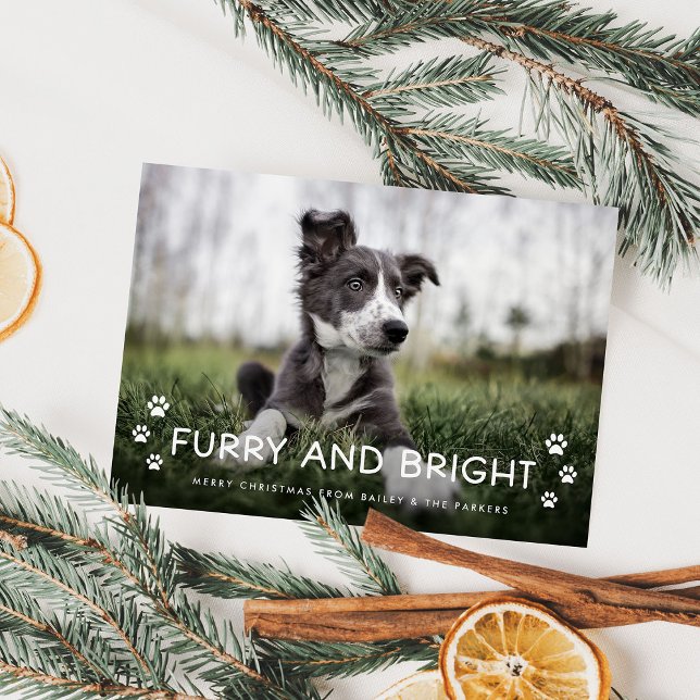 Cartes Pour Fêtes Annuelles Fer et brillant | Photo de Noël du chien (An adorable Christmas holiday photo card from the dog)