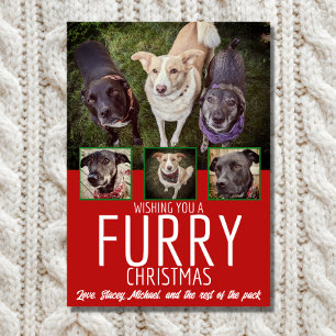 Cartes Pour Fêtes Annuelles Fer Noël Multi Photo Chien Collage Noël