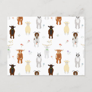 Cartes Pour Fêtes Annuelles Ferme d'animaux de compagnie chèvres mignonnes