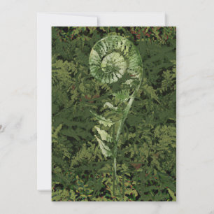 Cartes Pour Fêtes Annuelles Fern