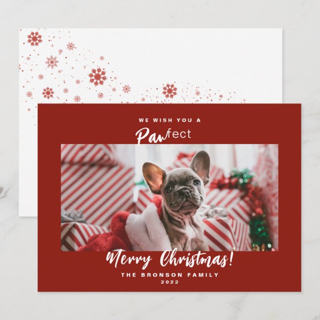 Cartes Pour Fêtes Annuelles Festif Animaux de compagnie Photo Joyeux Noël Cart (Devant / Derrière)