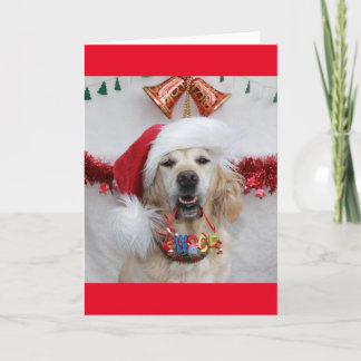 Cartes Pour Fêtes Annuelles Festif Golden Retriever tenant Noël 'Woof'
