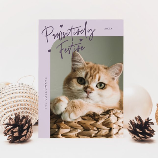 Cartes Pour Fêtes Annuelles Festif pédestre Photo Chat Violet Noël (Créateur téléchargé)