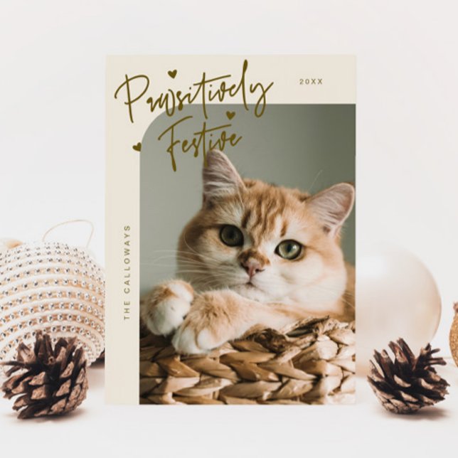 Cartes Pour Fêtes Annuelles Festive de façon pédestre Chat Photo Crème Noël (Créateur téléchargé)