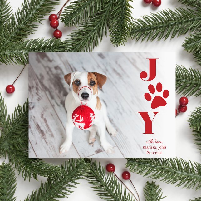 Cartes Pour Fêtes Annuelles Festive Paws | Pet Photo Holiday Card (Créateur téléchargé)