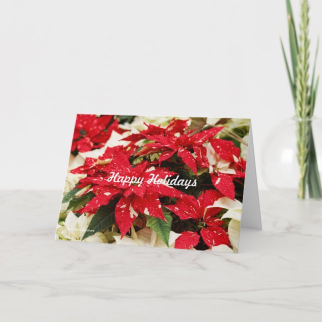 Cartes Pour Fêtes Annuelles Festive Rouge Blanc Floral Poinsettia Fleurs (Devant)