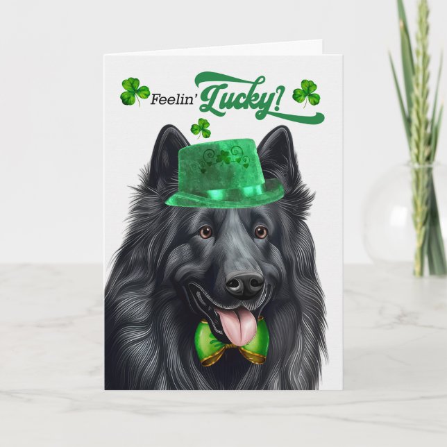 Cartes Pour Fêtes Annuelles Fête de la Saint Patrick Lucky Sheepdog belge (Devant)
