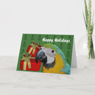 Cartes Pour Fêtes Annuelles Fête de Noël de la Macaw bleu et or