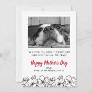 Cartes Pour Fêtes Annuelles Fête des mères Chien Photo de Secourt Chien Animal