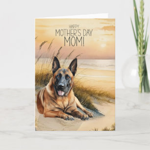 Cartes Pour Fêtes Annuelles Fête des Mères du Chien Malinois Belge Sunset Beac