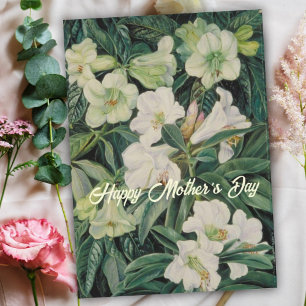 Cartes Pour Fêtes Annuelles Fête des mères Floral blanc