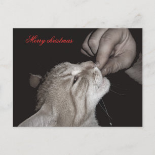 Cartes Pour Fêtes Annuelles Fête du chat