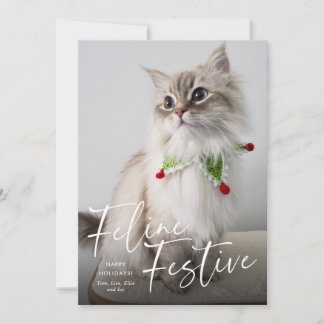 Cartes Pour Fêtes Annuelles Fête féline Photo de chat de vacances 