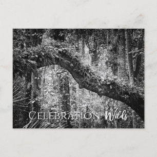 Cartes Pour Fêtes Annuelles Fête Wilds