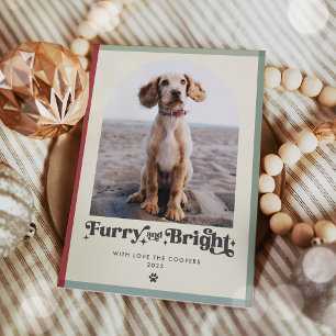 Cartes Pour Fêtes Annuelles Feu et Chien brillant Photo Drôle Noël