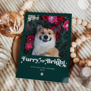 Cartes Pour Fêtes Annuelles Feu et Chien brillant Photo Drôle Noël