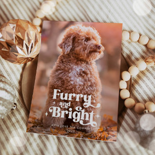 Cartes Pour Fêtes Annuelles Feu et Chien brillant Photo Drôle Noël