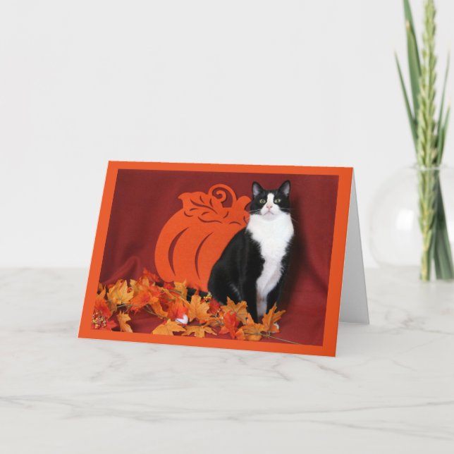 Cartes Pour Fêtes Annuelles Feuilles d'automne, citrouille et chat smoking (Devant)