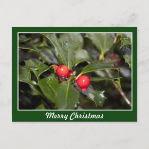 Cartes Pour Fêtes Annuelles feuilles Holly et baies rouges, Joyeux Noël