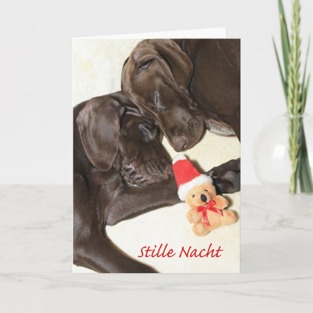 Cartes Pour Fêtes Annuelles Fijne Kerstdagen Pointer Soeurs allemandes (Devant)