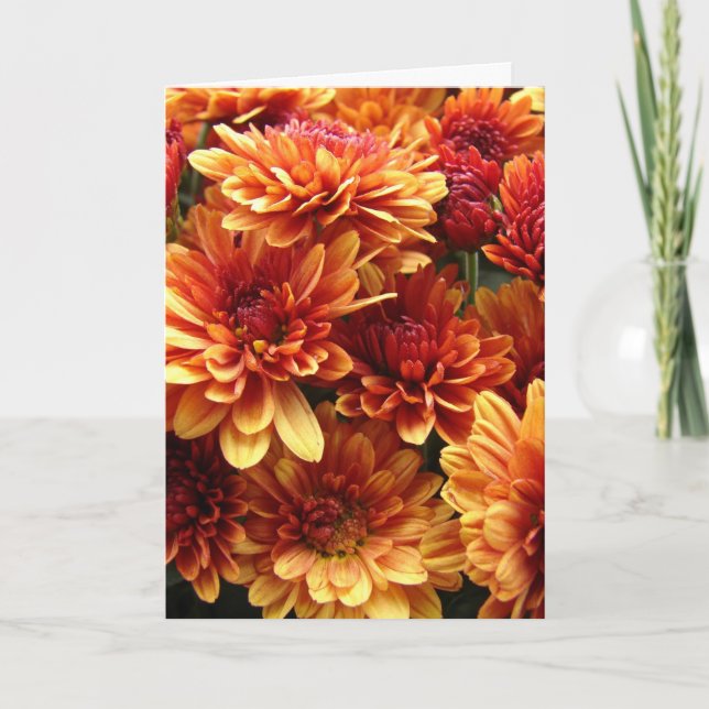 Cartes Pour Fêtes Annuelles Filles, Thanksgiving (Devant)