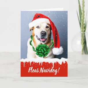 Cartes Pour Fêtes Annuelles Fleas Navidog mignon chien de Noël dans la neige