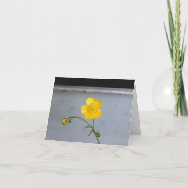 Cartes Pour Fêtes Annuelles Fleur Beurre Jaune (Devant)