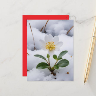 Cartes Pour Fêtes Annuelles fleur blanche