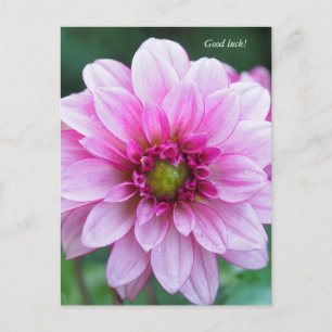 Cartes Pour Fêtes Annuelles Fleur Dahlia. Bonne chance