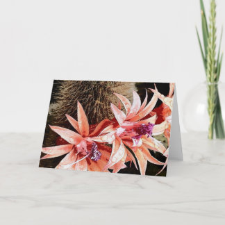 Cartes Pour Fêtes Annuelles fleur de cactus brillant