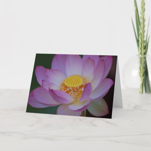 Cartes Pour Fêtes Annuelles Fleur de Lotus et sa signification (Devant)
