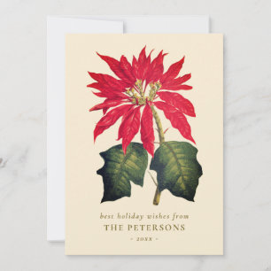 Cartes Pour Fêtes Annuelles Fleur de Poinsettia Botanique Vintage Élégante