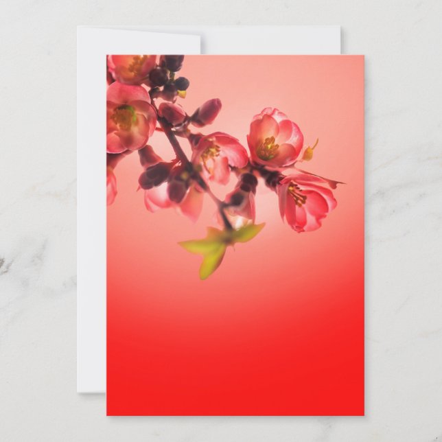 Cartes Pour Fêtes Annuelles Fleur de printemps sur arrière - plan rouge (Devant)