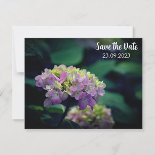 Cartes Pour Fêtes Annuelles Fleur d'Hydrangée rose et blanche Enregistrer la d