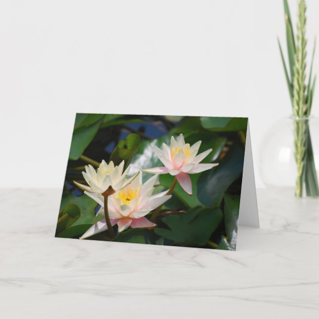 Cartes Pour Fêtes Annuelles Fleur et signification de Lotus (Devant)