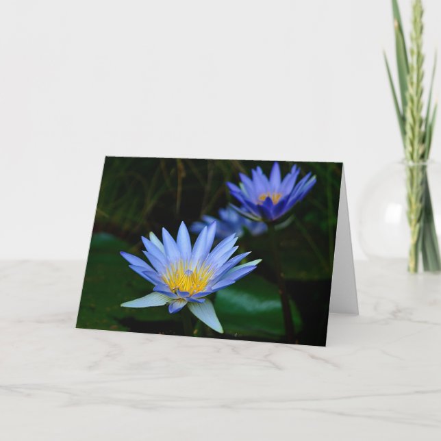 Cartes Pour Fêtes Annuelles Fleur et signification de Lotus (Devant)