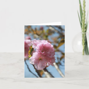 Cartes Pour Fêtes Annuelles Fleur rose fleurit