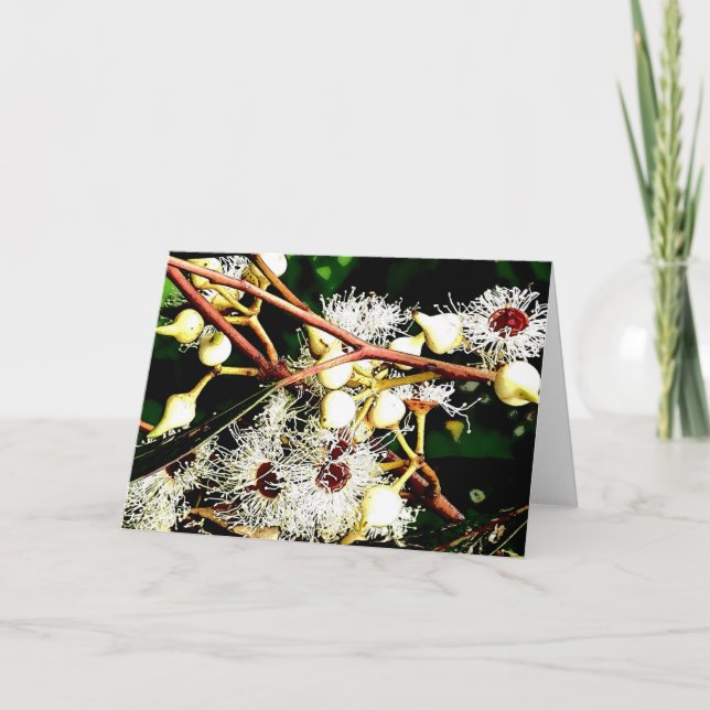 Cartes Pour Fêtes Annuelles fleurs blanches d'eucalyptus (Devant)