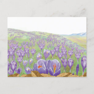 Cartes Pour Fêtes Annuelles Fleurs de Crocus pourpres sur Spring Hill Illustra
