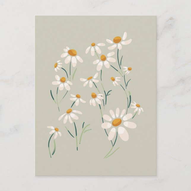 Cartes Pour Fêtes Annuelles Fleurs Delicées Chamomille Aesthétique Sauvage (Devant)