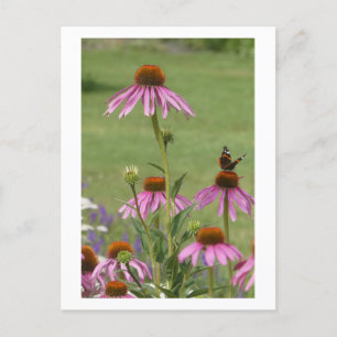 Cartes Pour Fêtes Annuelles Fleurs et papillon de l'amiral rouge do-it-yoursel