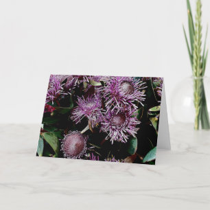 Cartes Pour Fêtes Annuelles fleurs indigènes violettes
