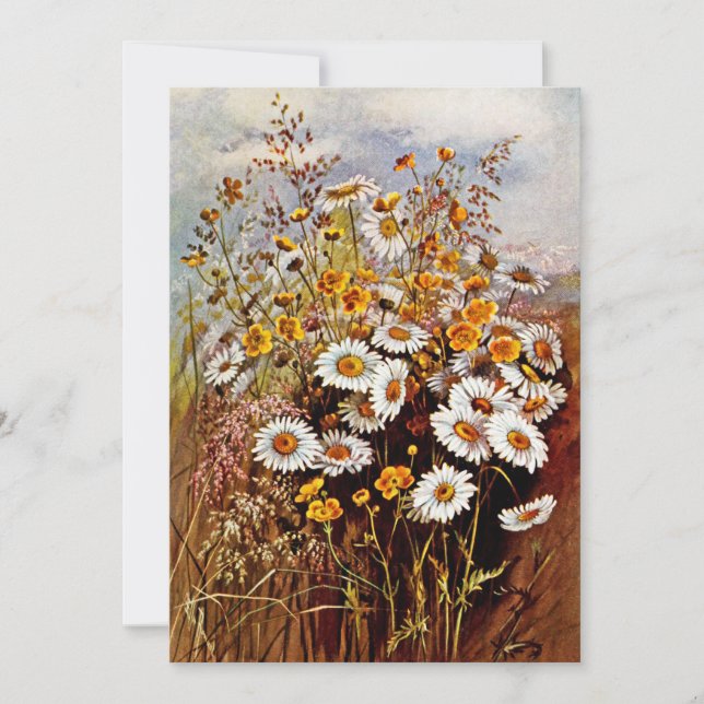 Cartes Pour Fêtes Annuelles Fleurs sauvages Marguerite Pâquerette boutons d'or (Devant)