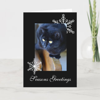 Cartes Pour Fêtes Annuelles Flocon de neige