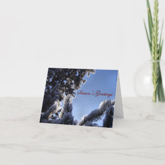 Cartes Pour Fêtes Annuelles Flocons de neige et Bonnes Fêtes de pin
