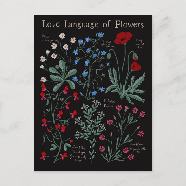 Cartes Pour Fêtes Annuelles Floriographe Amour langue des fleurs botanique (Devant)