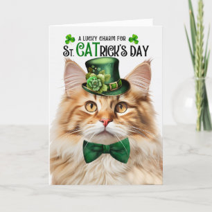 Cartes Pour Fêtes Annuelles Fluffy Orange Tabby Lucky Charm St Jour de CATrick
