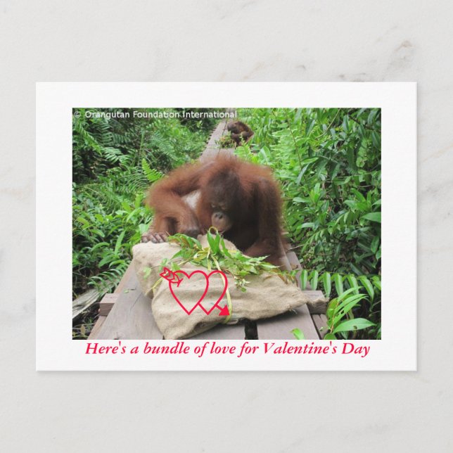 Cartes Pour Fêtes Annuelles Forfait d'amour pour la Saint-Valentin (Devant)